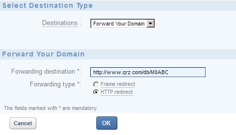 Forwarding your web domain