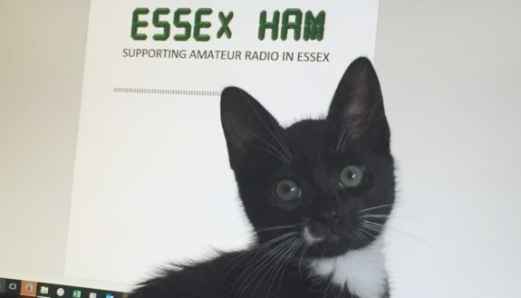 Splodge, Essex Ham's Shack Kitten