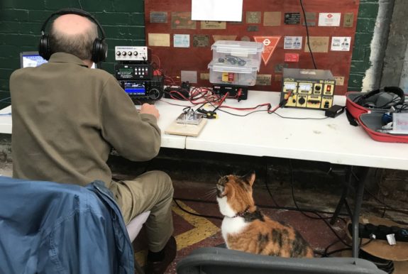 Tiger, fascinated by Morse operator Dave G4AJY from SEARS