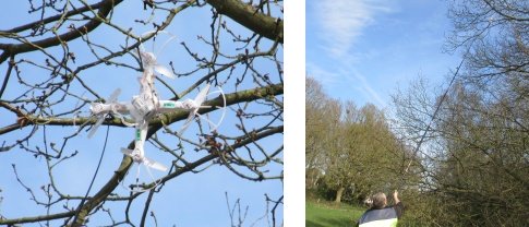 Pete's quadcopter vs the tree - Another use a 10m fishing pole