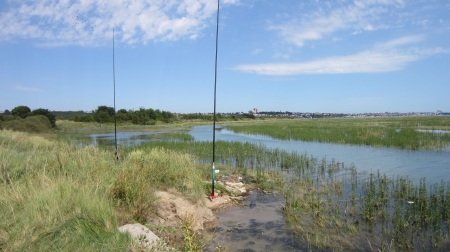 View from Two Tree Island, with antennas